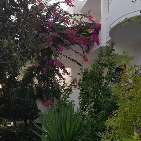 Danae Hotel Hotel Faliraki