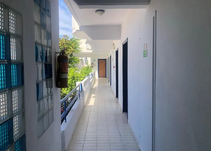 Danae Hotel Hotel 3*